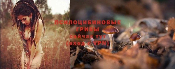 крисы Горно-Алтайск