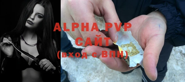 гашик Гусев
