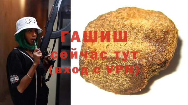 гашик Гусев